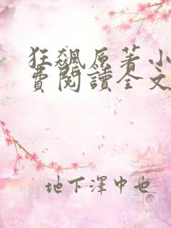 狂飙原著小说免费阅读全文