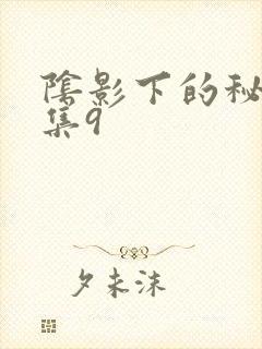 阴影下的秘密全集9