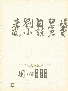 老刘日儿媳妇张岚小说免费阅读