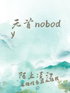 元首nobody
