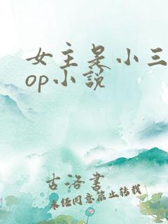 女主是小三的pop小说