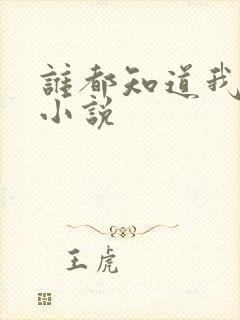 谁都知道我爱你小说