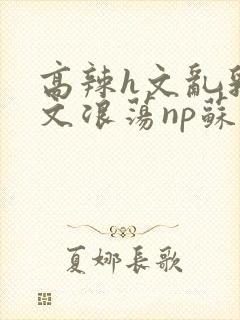 高辣h文乱乳h文浪荡np苏夏