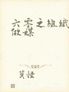 六零之组织给我做媒