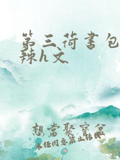 第三荷书包网高辣h文
