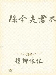 县令夫君不升堂