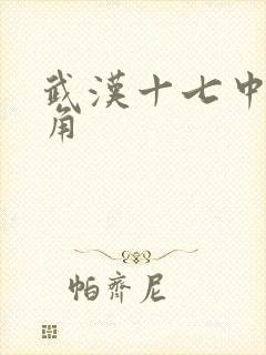 武汉十七中女主角