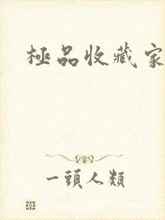 极品收藏家