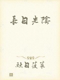 长日光阴