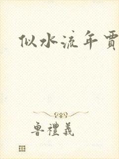 似水流年贾二虎