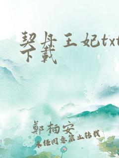 契丹王妃txt下载