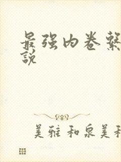 最强内卷系统小说