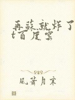 再苏就炸了txt百度云