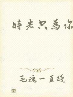 时光只为你停留