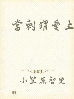 当刺猬爱上玫瑰