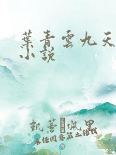 叶青云九天玄宗小说