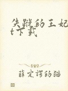 失踪的王妃txt下载