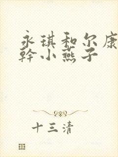 永琪和尔康一起干小燕子