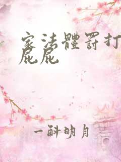 家法体罚打丫鬟屁屁