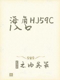 海角HJ59C1入口