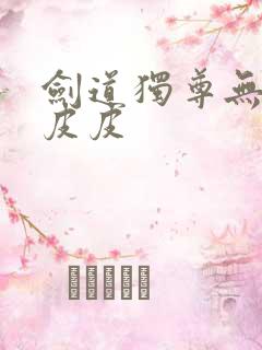 剑道独尊无弹窗皮皮