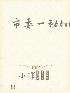 市委一秘txt