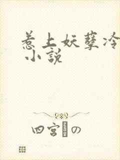 惹上妖孽冷殿下 小说