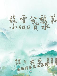 苏雪公憩第一章小sao货水