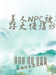 美人NPC被各路大佬爆炒小说