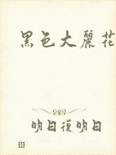 黑色大丽花图片