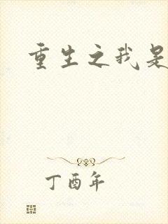 重生之我是刘备