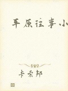 平原往事小说
