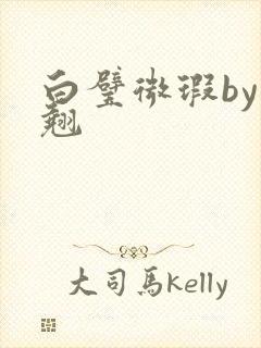 白璧微瑕by连翘