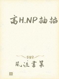 高H.NP抽插
