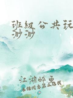 班级公共玩具叶渺渺