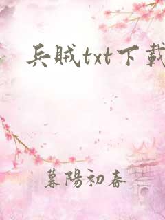 兵贼txt下载