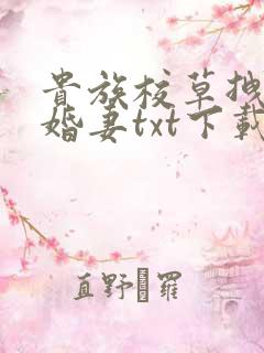 贵族校草拽拽未婚妻txt下载