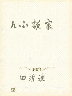 h小说家