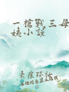 一枪战三母2雪姨小说
