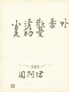 小清欢番外篇完美的爱