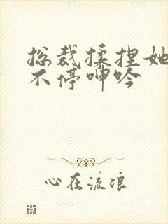 总裁揉捏她两乳不停呻吟