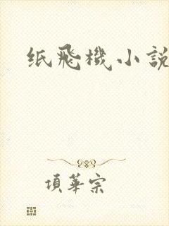 纸飞机小说