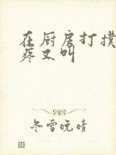 在厨房打扑克又疼又叫