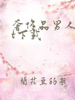 奢侈品男人txt下载