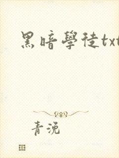 黑暗学徒txt