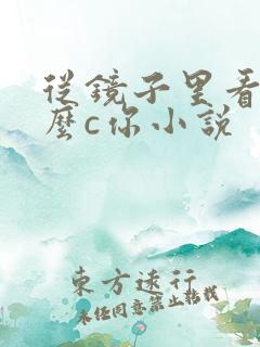 从镜子里看我怎么c你小说