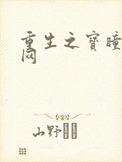 重生之宝瞳书书网