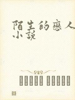 陌生的恋人原著小说