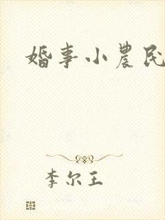婚事小农民