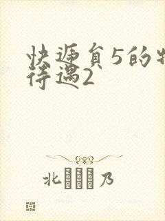 快递员5的特殊待遇2